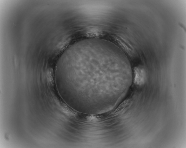 X0000091540616200708171245