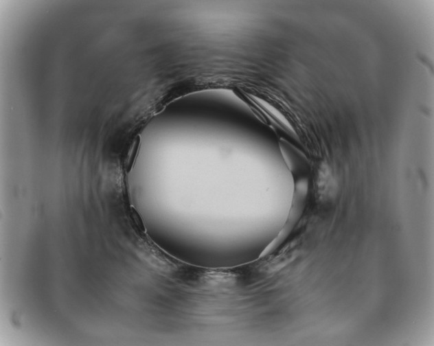 X0000091540617200708171245