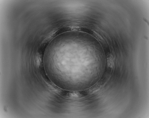 X0000091540618200708171245