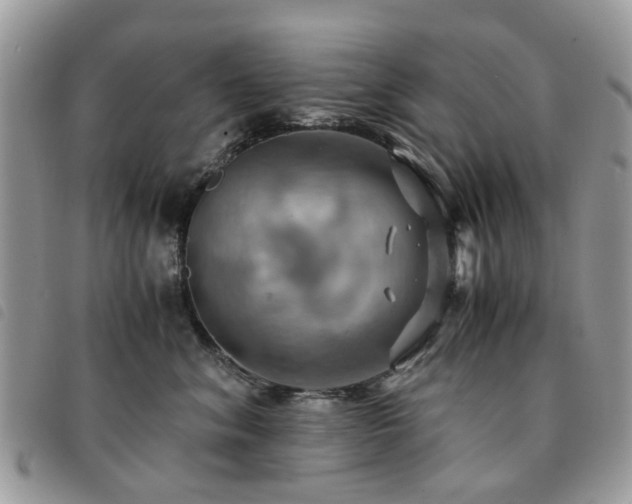 X0000091540620200708171245