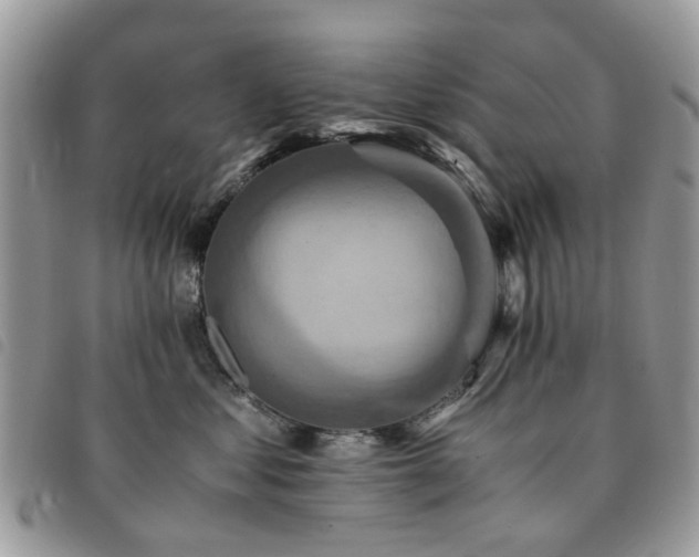 X0000091540621200708171245