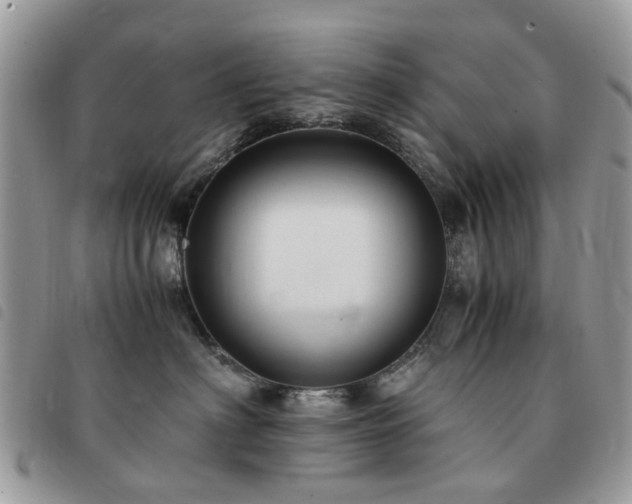 X0000091540622200708171245