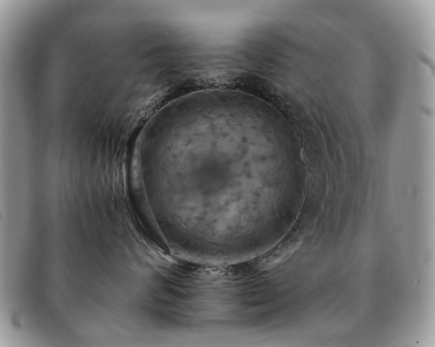 X0000091540624200708171245