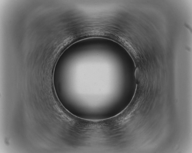 X0000091540625200708171245