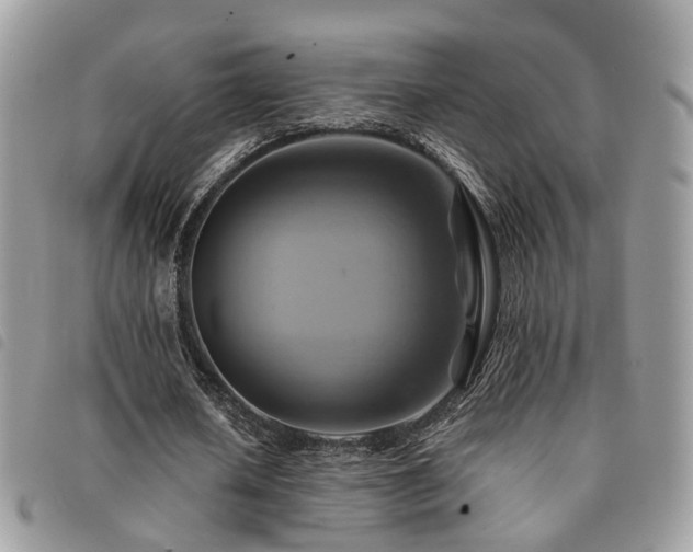 X0000091540626200708171245