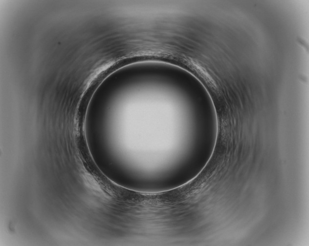 X0000091540628200708171245