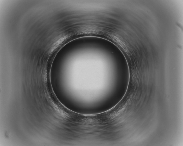 X0000091540629200708171245