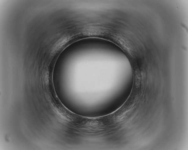 X0000091540631200708171245