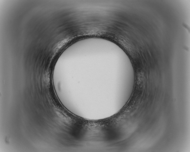 X0000091540632200708171245