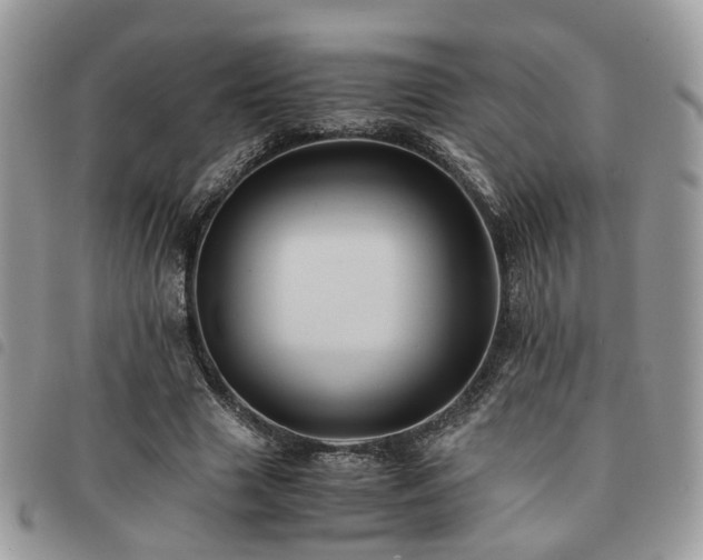 X0000091540633200708171245