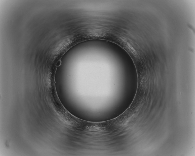 X0000091540635200708171245