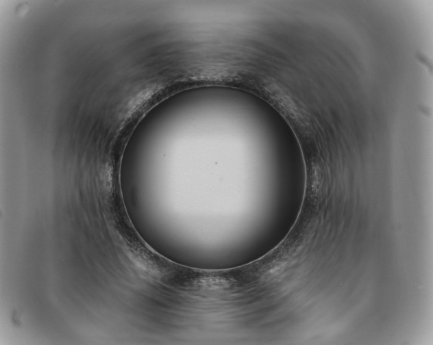X0000091540636200708171245