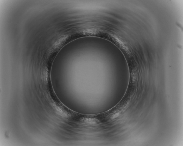X0000091540637200708171245