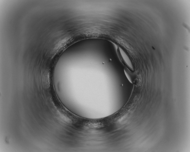 X0000091540638200708171245