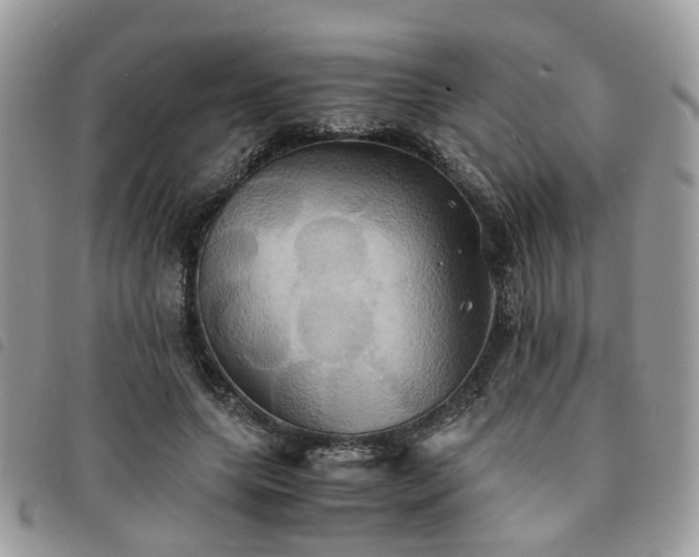 X0000091540639200708171245