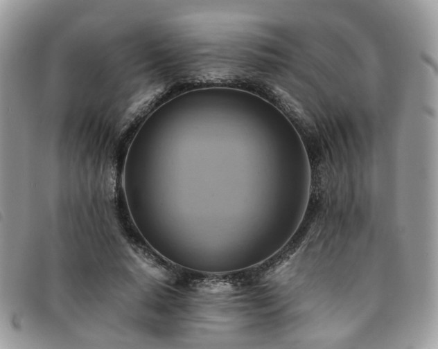 X0000091540640200708171245