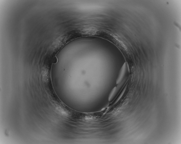 X0000091540641200708171245