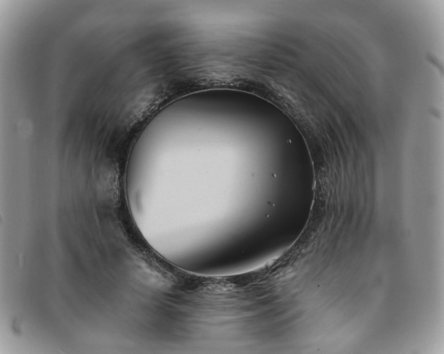 X0000091540642200708171245