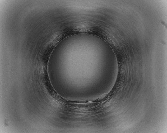 X0000091540643200708171245