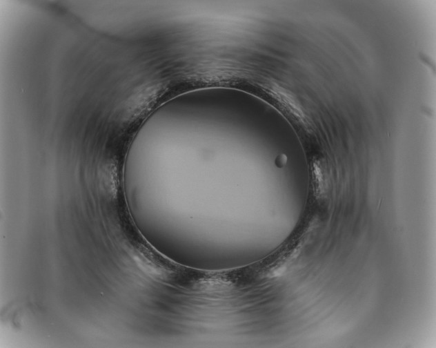X0000091540644200708171245