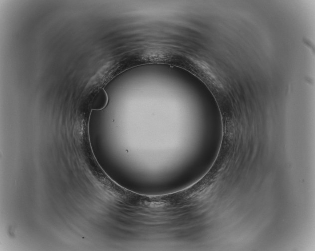 X0000091540645200708171245