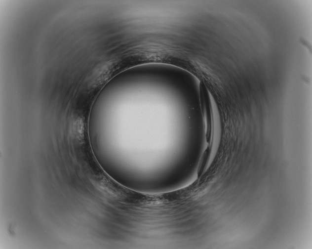 X0000091540646200708171245