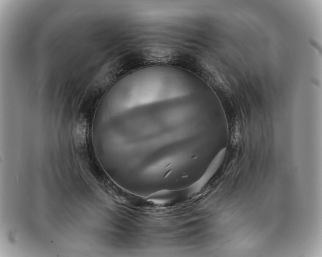 X0000091540647200708171245