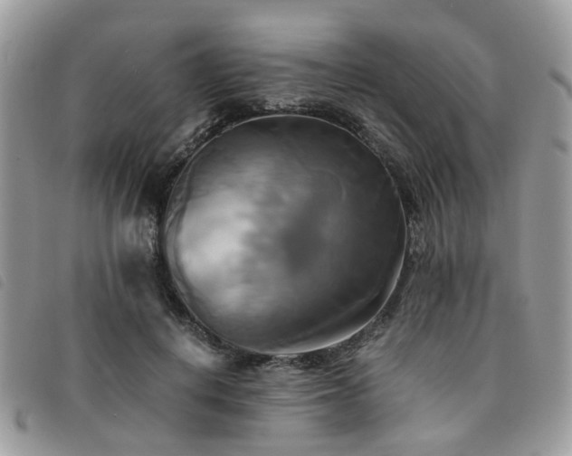 X0000091540648200708171245