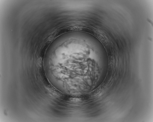 X0000091540649200708171245