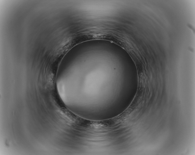 X0000091540650200708171245