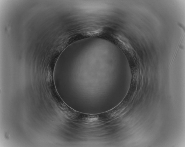 X0000091540651200708171245