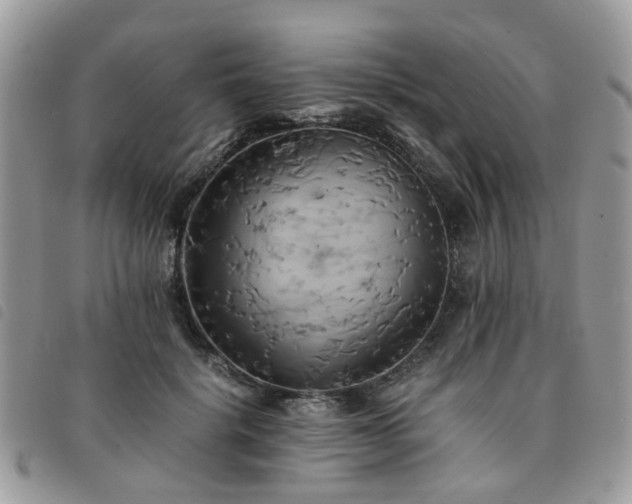 X0000091540652200708171245