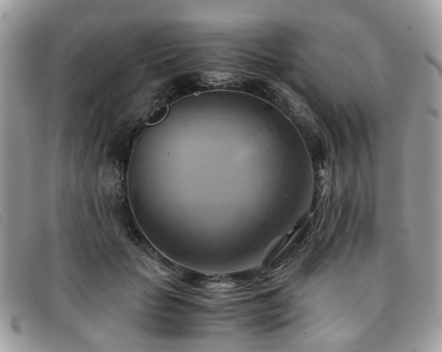 X0000091540653200708171245