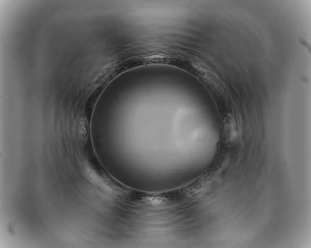 X0000091540654200708171245