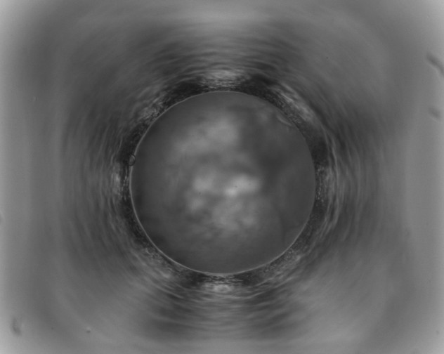 X0000091540655200708171245