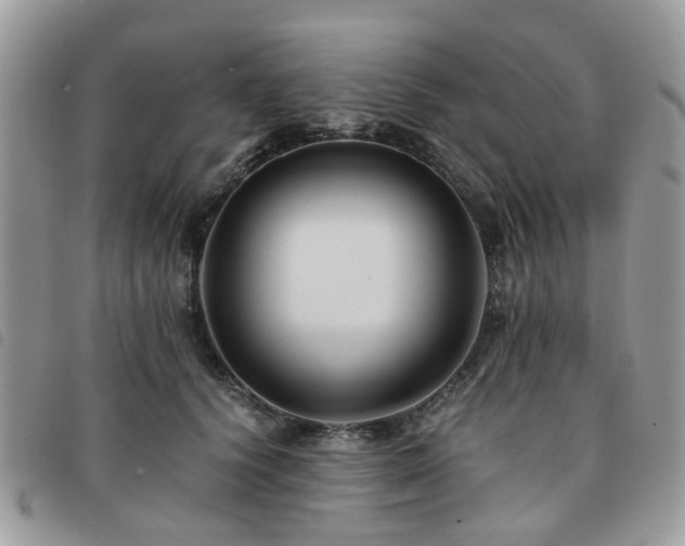 X0000091540656200708171245