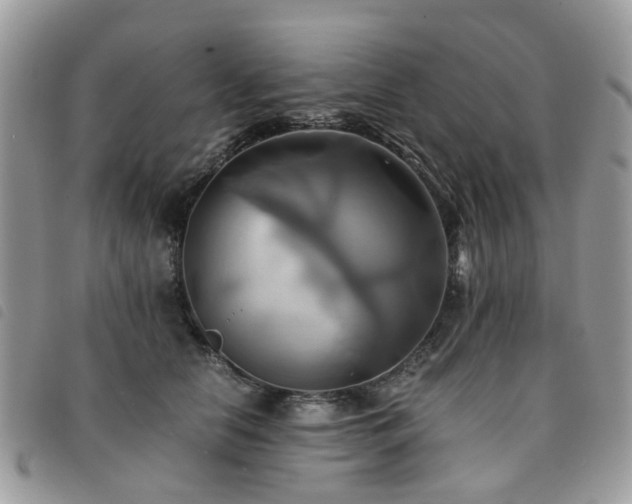 X0000091540658200708171245