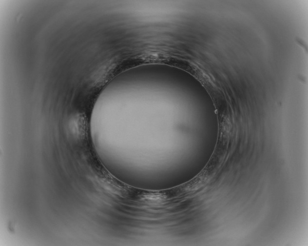 X0000091540659200708171245