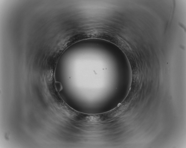 X0000091540660200708171245