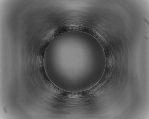 X0000091540661200708171245
