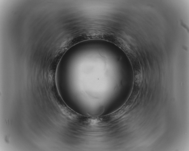 X0000091540662200708171245