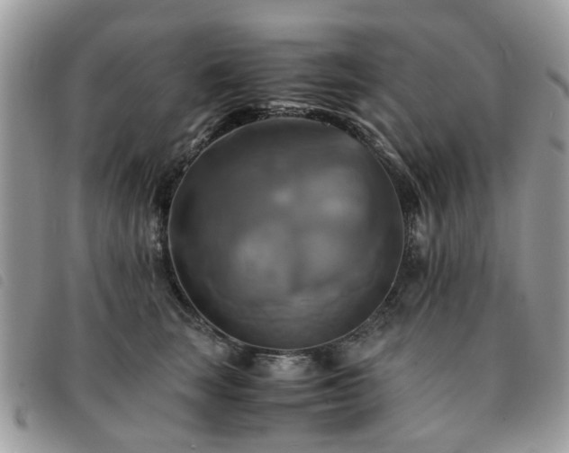 X0000091540663200708171245