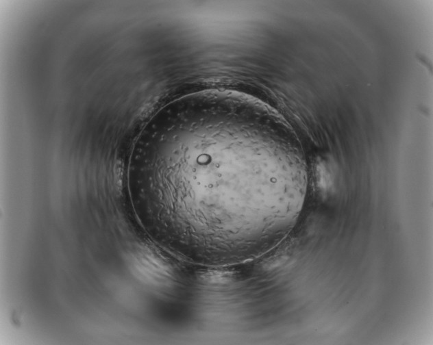 X0000091540664200708171245