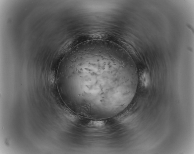 X0000091540665200708171245