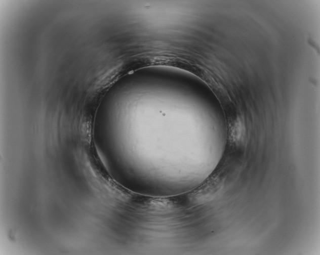 X0000091540666200708171245