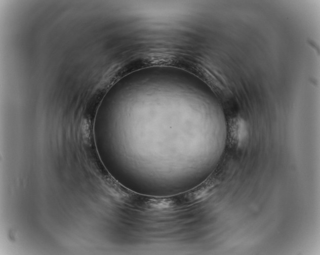 X0000091540667200708171245