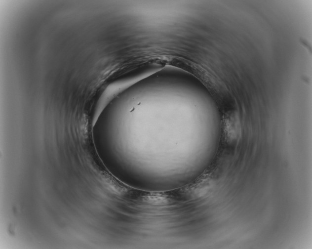 X0000091540668200708171245