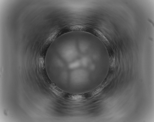 X0000091540669200708171245