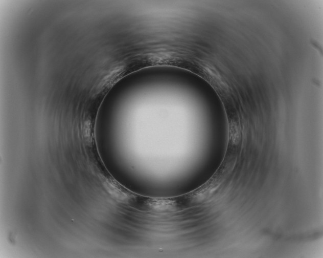 X0000091540670200708171245