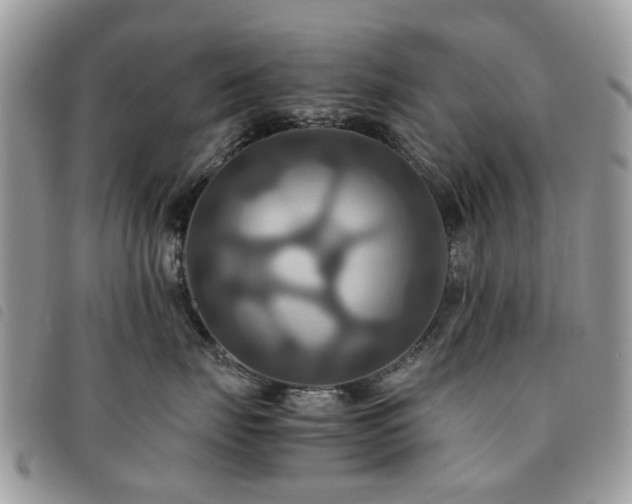 X0000091540671200708171245